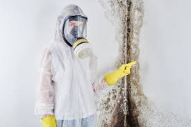 Best Environmental Consulting for Mold Prevention  in Wadesboro, NC